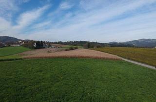 Gewerbeimmobilie kaufen in 4060 Leonding, Landwirtschaftlicher Nutzgrund direkt an Aichbergstraße
