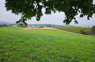 Gewerbeimmobilie kaufen in 4060 Leonding, Landwirtschaftliche Nutzgründe - 3 Grundstücke
