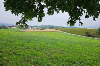 Grundstück zu kaufen in 4060 Leonding, Landwirtschaftliche Nutzgründe - 3 Grundstücke