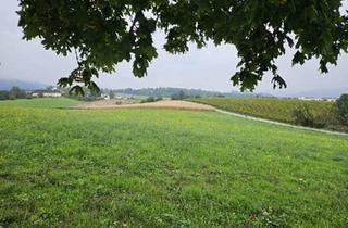 Gewerbeimmobilie kaufen in 4060 Leonding, Landwirtschaftliche Nutzgründe - 3 Grundstücke