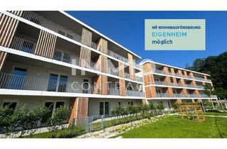 Wohnung kaufen in Dr. Wilhelm Steingötter Straße, 3100 Sankt Pölten, 4 Zimmer Wohnung mit großer Loggia, von allen Räumen begehbar!