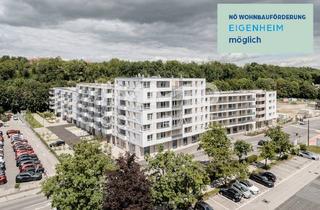 Wohnung kaufen in Dr. Wilhelm Steingötter Straße, 3100 Sankt Pölten, Perfekt für Jungfamilien!