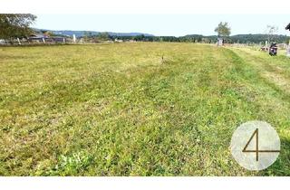 Bauernhäuser zu kaufen in 3970 Weitra, Sacherl - 1h nach Linz!