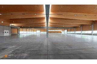 Gewerbeimmobilie kaufen in 5082 Grödig, Neue großflächige Gewerbeliegenschaft am südlichen Stadtrand - Baurecht