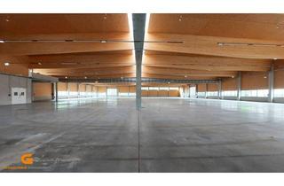 Gewerbeimmobilie kaufen in 5082 Grödig, Neue großflächige Gewerbeliegenschaft am südlichen Stadtrand - Baurecht