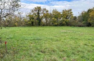 Grundstück zu kaufen in Brucknerweg, 2604 Theresienfeld, [06464] Die Ruheoase für meine Familie