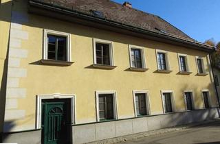 Haus kaufen in 3860 Heidenreichstein, Sehr gepflegtes und schönes Herrenstadthaus mit über 300-jähriger Adelsgeschichte in Heidenreichstein im idyllischen Waldviertel!