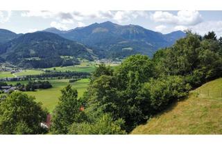 Grundstück zu kaufen in 8784 Dietmannsdorf bei Trieben, Baugrundstück mit traumhaftem Ausblick!
