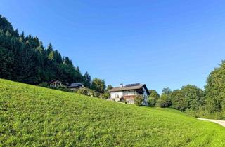 Grundstück zu kaufen in Obergraben, 4644 Scharnstein, HERBSTANGEBOT im schönen Almtal! KEIN BAUZWANG !