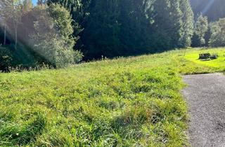 Grundstück zu kaufen in 4463 Großraming, Baugrundstück in ruhiger Lage