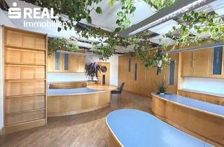 Garagen mieten in 3370 Ybbs an der Donau, 50 m² Büroraum in Ybbs, sofort bezugsfertig!