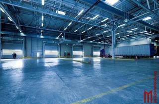 Büro zu mieten in 8402 Werndorf, Hallenobjekt für Gewerbe-/Logistik - Steiermark