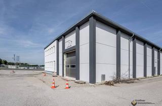 Büro zu mieten in Römerstraße 26, 2752 Wöllersdorf, 1.500 m² Lagerhalle und kleine Bürofläche + 8.000 m² Freifläche zu vermieten