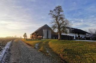 Haus mieten in 5134 Schwand im Innkreis, Haus/ Wohnung ab Herbst 2025 bezugsfertig