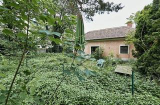 Grundstück zu kaufen in Prager Straße, 1210 Wien, Schönes Doppel-Eckgrundstück mit Eigengarten und viel Potential