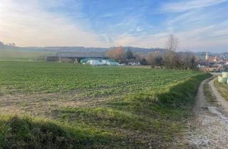 Grundstück zu kaufen in 3613 Albrechtsberg 41, 3613 Albrechtsberg an der Großen Krems, bewirtschafteter Acker zu verkaufen