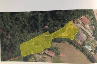 Grundstück zu kaufen in 9545 Untertweng, Baugrundstück mit Waldparzelle in Seenähe