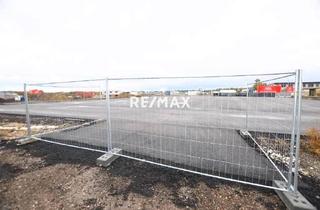 Büro zu mieten in 2441 Mitterndorf an der Fischa, Lagerplatz - Flächen bis ca. 4500 m²