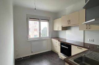 Wohnung mieten in 2486 Landegg, Freundliche 2-Zimmer-Wohnung mit Einbauküche in Landegg