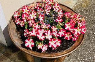 Mehrfamilienhaus kaufen in 3644 Goßam, „Insel der Seligen“ in Goßam – Naturidylle trifft Wohnfreiheit