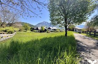 Grundstück zu kaufen in 5340 Sankt Gilgen, Großzügiger Baugrund mit See- und Bergpanorama