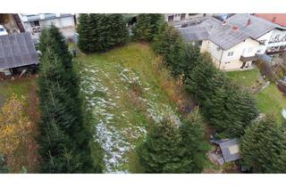 Grundstück zu kaufen in Waldgasse, 7203 Wiesen, breiter Baugrund in leichter Hanglage mit Altbaumbestand zu verkaufen