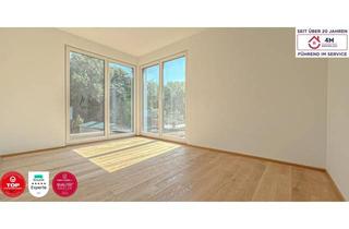 Haus kaufen in 3413 Hintersdorf, IDYLLISCHER ERSTBEZUG**4 EINFAMILIENHÄUSER AM WALDRAND**NAHE WIEN, KLOSTERNEUBURG & TULLN!