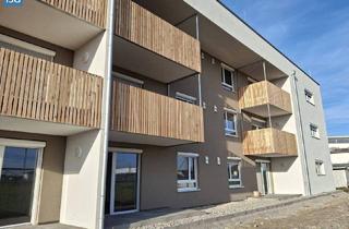 Wohnung mieten in Pfarrhofstraße, 5274 Burgkirchen, NEUBAU! 2-Zimmer-Mietkauf-Wohnung Top 17 im 2. OG (Eigenmittel erforderlich)