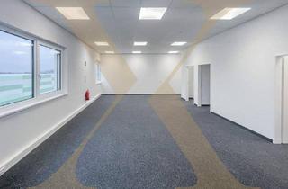 Büro zu mieten in 4481 Asten, Moderne Bürofläche in Top Lage in Asten zu vermieten!