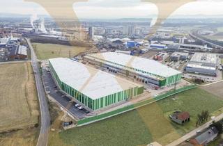 Büro zu mieten in 4470 Enns, NEUBAU - Lager-/Produktionshalle (optional mit Büroflächen) in Enns/Ennshafen zu vermieten!