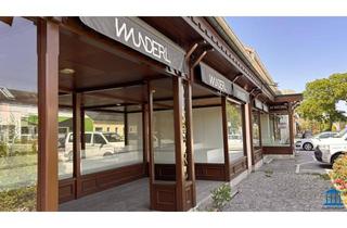 Büro zu mieten in 2601 Sollenau, Wunder(l)bares Geschäftslokal mit Parkmöglichkeiten in Sollenau