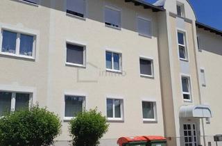 Wohnung kaufen in St. Pölten, 3150 Wilhelmsburg, Darfs a bissl mehr sein? VIEL PLATZ für die GANZE FAMILIE im herrlichen Wilhelmsburg!