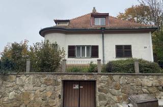 Villen zu kaufen in 2020 Hollabrunn, Jahrhundertwendehaus mit traumhaften Ausblick auf Hollabrunn, Gartenoase und Pool sucht Liebhaber!