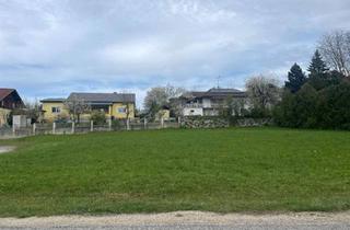 Grundstück zu kaufen in 4770 Schärdingerau, Sonniges Baugrundstück nahe Zentrum ohne Bauzwang