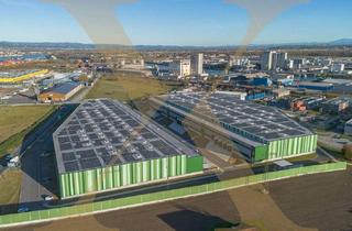 Büro zu mieten in 4470 Enns, NEUBAU - Lager-/Produktionshalle (optional mit Büroflächen) in Enns/Ennshafen zu vermieten!