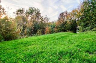 Grundstück zu kaufen in 4650 Lambach, Wohnbau-Grund mit Waldanteil zentral in Lambach. - Infrastruktur und Bahn fußläufig. - Unter 15 Min. nach Wels.