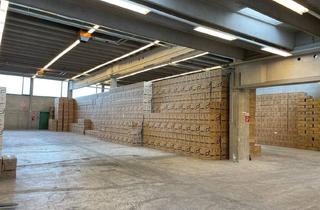 Lager mieten in 2345 Brunn am Gebirge, Multifunktionale Lagerhalle im Industriegebiet Brunn