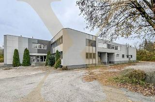 Büro zu mieten in 4600 Wels, Top Gewerbeliegenschaft mit Lager-/Produktions- und Büroflächen in Thalheim bei Wels zu vermieten!