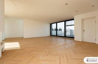 Penthouse kaufen in Argentinierstraße, 1040 Wien, Traumpenthouse - 76m2 Terrassen mit Rundumblick - Erstbezug - eigener Liftzugang