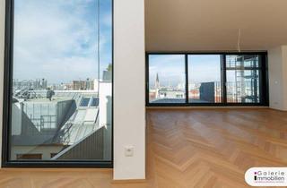 Penthouse kaufen in Argentinierstraße, 1040 Wien, Erstbezugspenthouse mit 76m2 Terrassen und Traumblick über Wien