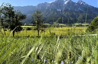 Grundstück zu kaufen in 8960 Niederöblarn, Natur erleben, Wohntraum verwirklichen – Baugrundstück mit Panorama