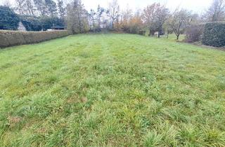 Grundstück zu kaufen in 3300 Amstetten, KEIN Bauzwang ! Großes, ebenes Grundstück