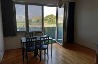 Wohnung kaufen in Rösslergasse, 1230 Wien, Single-oder Pärchenwohnung mit Pool und Sauna am Dach, Niedrigenergiehaus, U-Bahnnähe