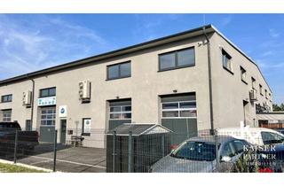 Büro zu mieten in 2442 Ebreichsdorf, Moderne Halle mit Büro, 111m², Werkstatt möglich!