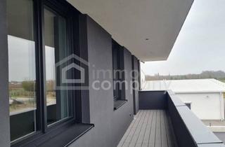 Büro zu mieten in 2500 Baden, "Exklusives Büro, Erstbezug, top Technik-Ausstattung mit optionaler Lagerhalle"