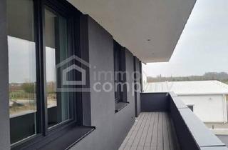 Büro zu mieten in 2500 Baden, "Exklusives Büro, Erstbezug, top Technik-Ausstattung mit optionaler Lagerhalle"