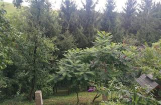 Haus kaufen in 7435 Unterkohlstätten, Vierkanthof mit Nebengebäude, 1400m² - viele Nutzungsmöglichkeiten
