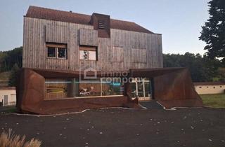 Haus kaufen in 7540 Neustift bei Güssing, Mal was für Individualisten....