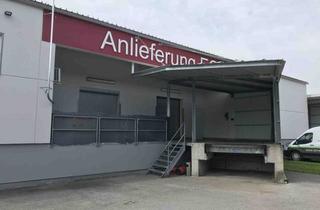 Gewerbeimmobilie mieten in Münchner Bundesstraße 121A, 5020 Salzburg, Lagerfläche 233,17 m2 (Gitterbox) bis 5 m Raumhöhe in Salzburg-Liefering