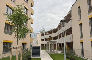 Wohnung mieten in Elisabeth Bollenberger-Gasse, 2700 Wiener Neustadt, ERSTBEZUG! 2-Zimmer-Wohnung mit Balkon, Top 5